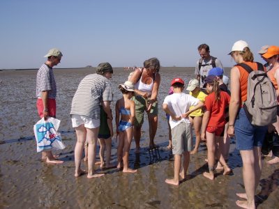 wattenmeer_wulff wattenmeer_wulff