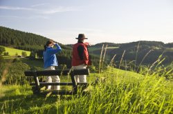 Sauerland