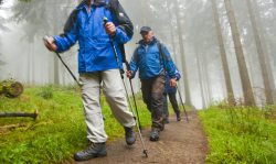 Wandern