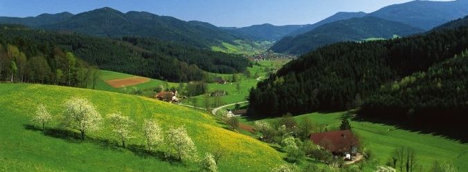Fruehjahr im Zweitaelerland im Schwarzwald (&copy; ZweiTälerLand Tourismus )