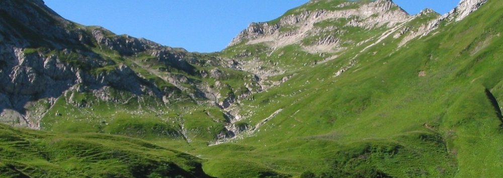oberallgaeu_ausschnitt_1002x356133131 (&copy; LAG Bayern : LAG Bayern )