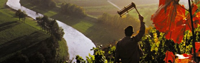 rtscherindenweinbergen_ausschnitt_698x222 (&copy; Kraichgau-Stromberg Tourismus e.V. )