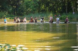 Naturpark Elbhöhen-Wendland