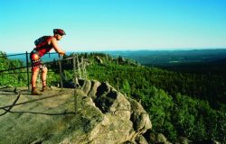 Harz