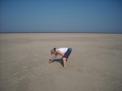 Nordsee