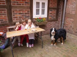 Urlaub mit dem Hund