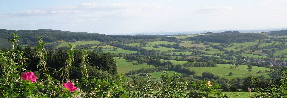 vogelsberg_ausschnitt_954x328