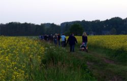 Wandern