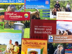 Katalogbestellung