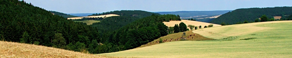 Landschaft bei Lositz (&copy; LAG Thüringen )