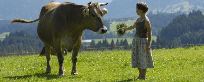 allgaeu2_ausschnitt_697x280 (&copy; LAG Bayern : LAG Bayern )