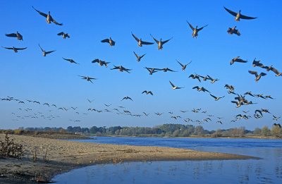 An der Elbe (&copy; Tourismusverband Prignitz : Dieter Damschen )