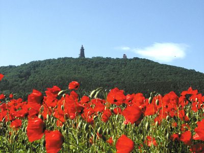 Blick auf den Kyffhäuser (&copy; Tourismusverband Kyffhäuser e.V. )