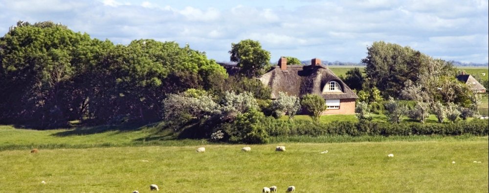 bauernhof_nordsee_opt_ausschnitt_1178x467