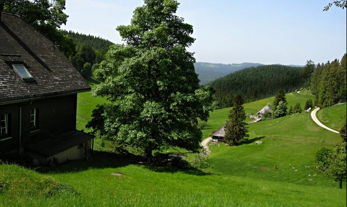hotzenwald_ausschnitt_701x418