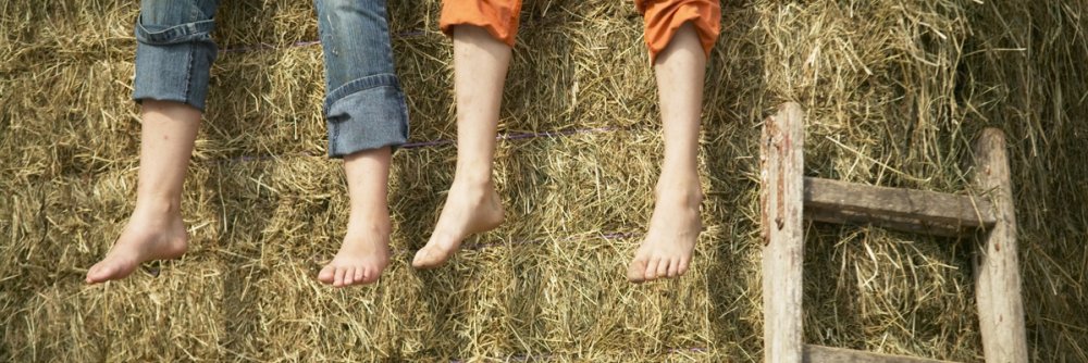 kinderimheu_ausschnitt_1199x401 (&copy; LAG Bayern : LAG Bayern )
