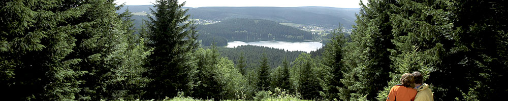 Blick auf den Schwarzastausee (&copy; Thüringer Tourismus GmbH : Rasmus Schübel )