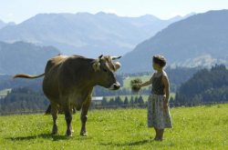 Allgäu/Bayerisch Schwaben