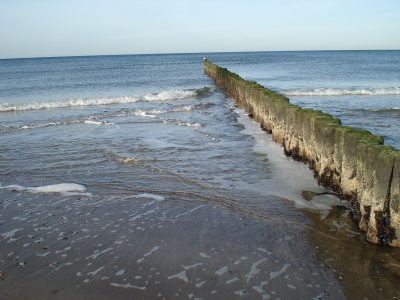 Buhnen_am_Ostseestrand (&copy; LANDURLAUB M-V : Monika Hoffmann )