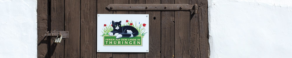 Detail am Fachwerk (&copy; LAG Thüringen : Barbara Neumann )