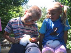 kaninchen_babys_hof_wulff