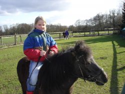 Reiten
