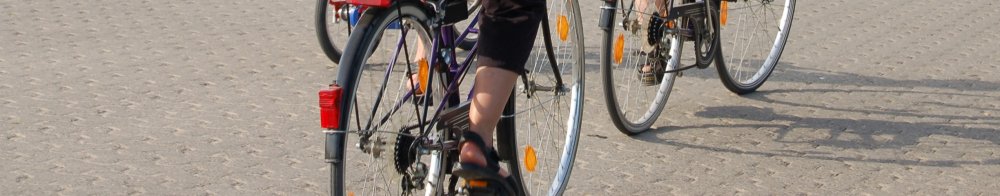 Radler am Niederrhein (&copy; LAG NW : Renate Carstens )