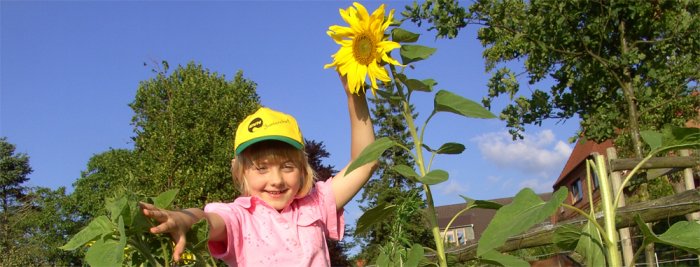 sonnenblumenkind
