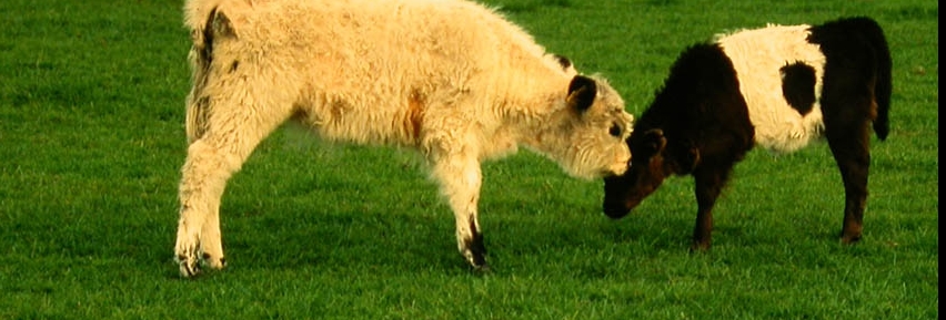 Urlaub auf dem Biohof (&copy; LAG NW )