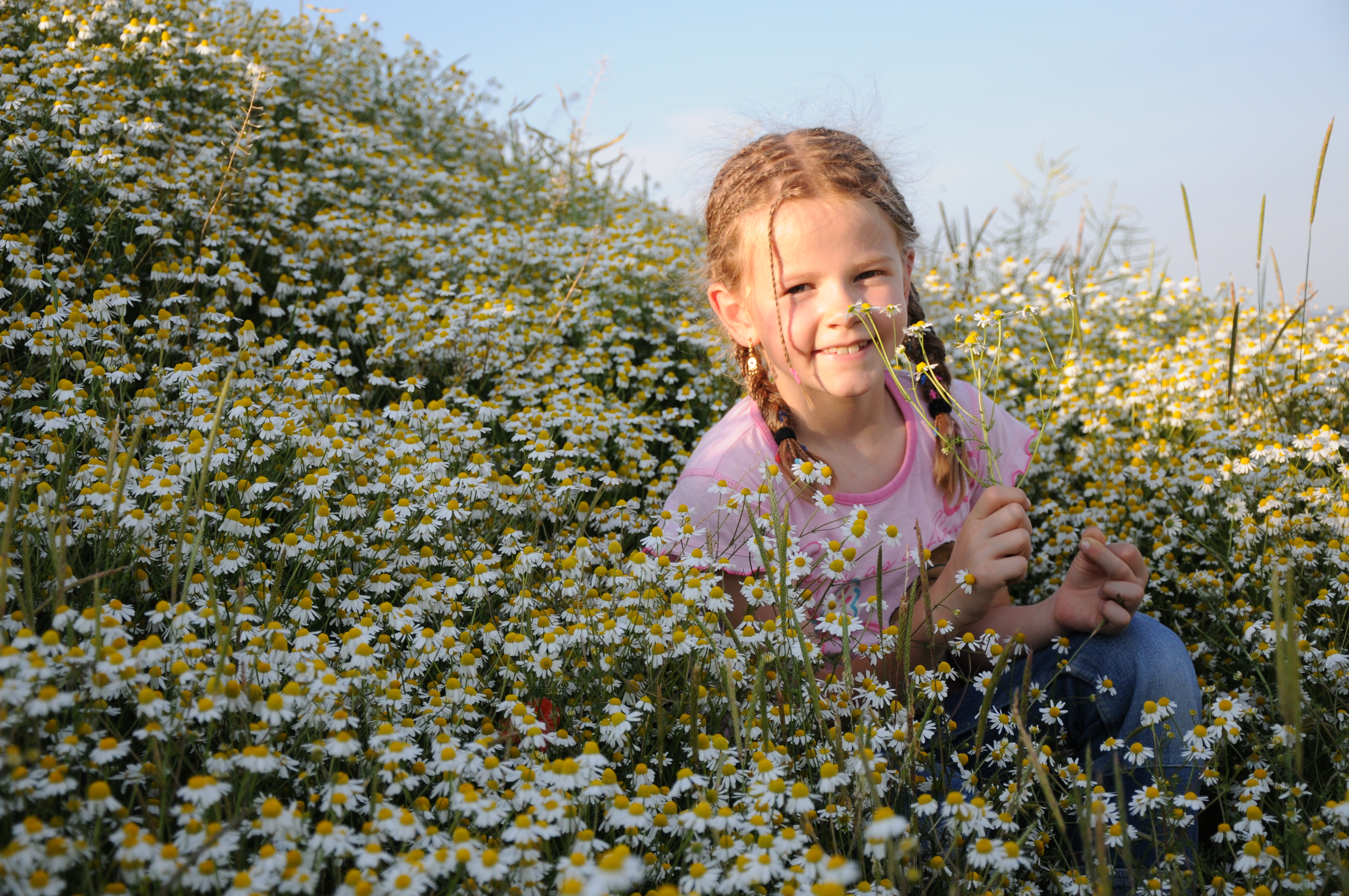 Lilly im Kamillenfeld
