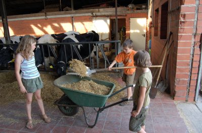 Aktiv helfen auf dem Bauernhof (&copy; LAG NW : Renate Carstens )