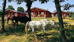 Ferienhäuser & Ferienwohnung