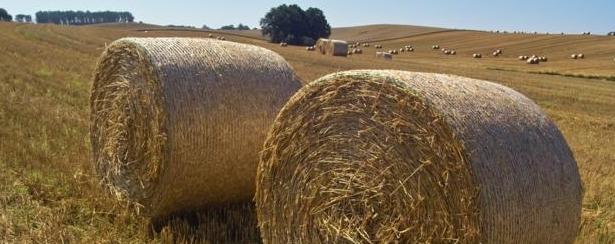 Strohballen (&copy; LANDURLAUB M-V : Margit Wild )