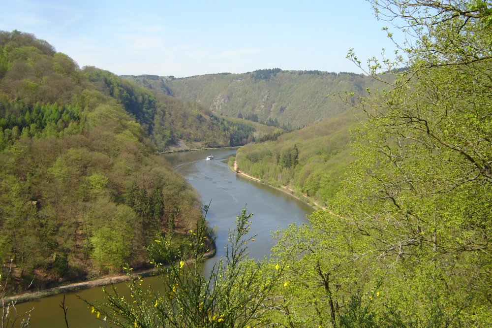 Saar vom Saar-Hunsrück Steig (&copy; LAG RP : Rheinland-Pfalz Touristik )