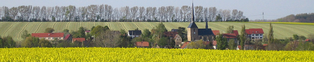 Blick auf Tegkwitz