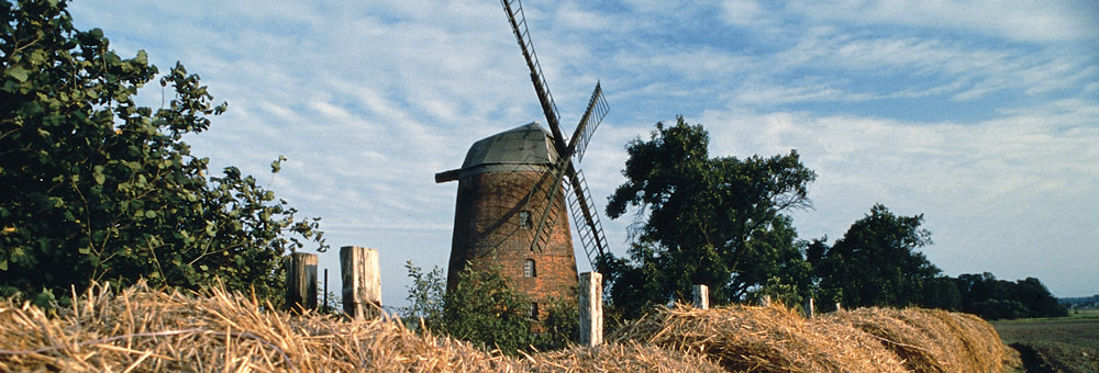 Diesdorf Landschaft