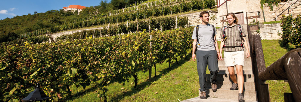 header_weinberg
