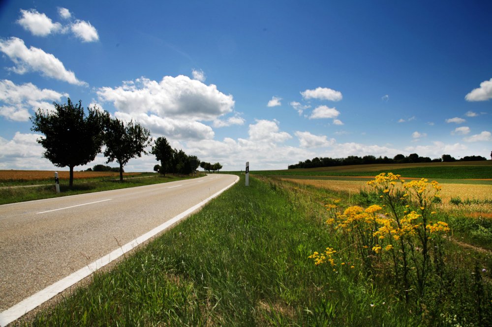 Ausflug in sommerliche Natur