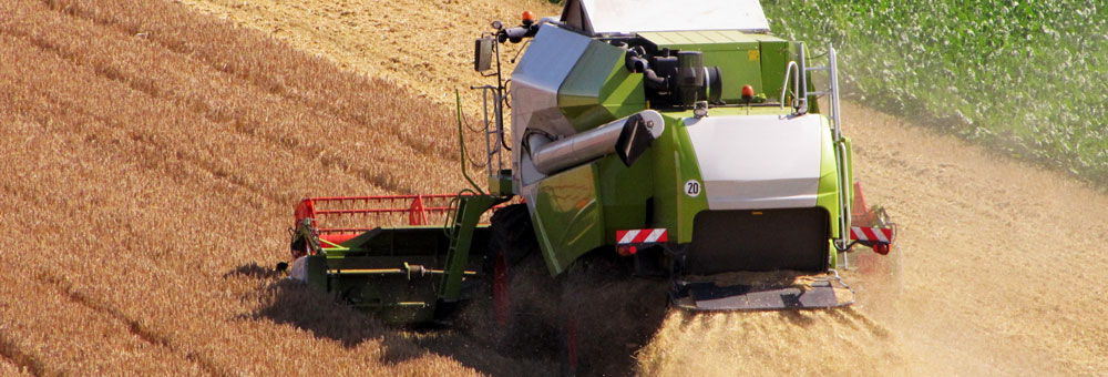 header_ernte_feld