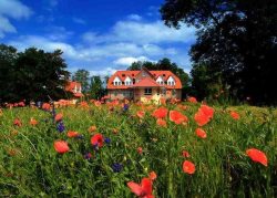 Bücherhotel_Groß_Breesen (&copy; LANDURLAUB M-V : LANDURLAUB M-V )