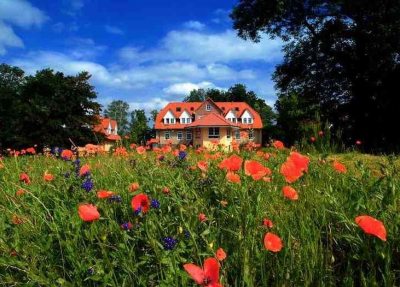 Bücherhotel_Groß_Breesen (© LANDURLAUB M-V : LANDURLAUB M-V ) Bücherhotel_Groß_Breesen (© LANDURLAUB M-V : LANDURLAUB M-V )