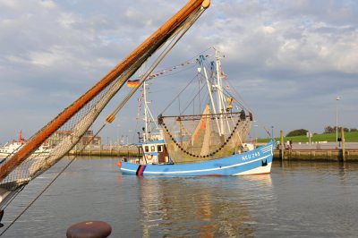 Fischerboot-läuft-ein (© Susanne Mölle ) Fischerboot-läuft-ein (© Susanne Mölle )