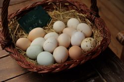 Einkaufen beim Bauern