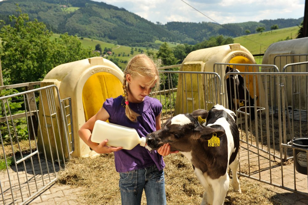 Urlaub Auf Dem Bauernhof Familien Kinder Ferien 