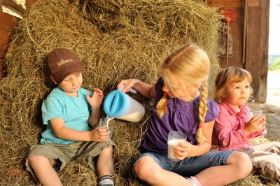 Frische-Milch-direkt-beim-Bauern (&copy; Susanne Mölle )