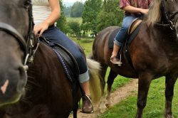 Reiten
