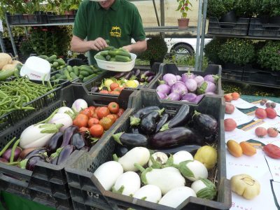 2010 Gruener Markt Spaetsche Baumschule: pro agro e.V. : pro agro e.V.