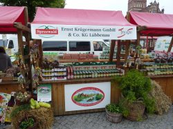2010 Kruegermann Gurken am pro agro Stand: team red : pro agro e.V.