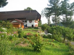Aussenaufnahme_Hanselehof Fr�hjahrsputz