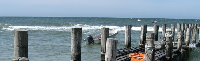 Ostsee haut nah erleben (&copy; LANDURLAUB M-V : Konstanze Lock )